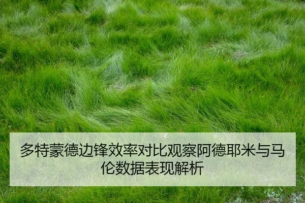 duo-te-meng-de-bian-feng-xiao-lv-dui-bi-guan-cha-a-de-ye-mi-yu-ma-lun-shu-ju-biao-xian-jie-xi-2-602.jpg
